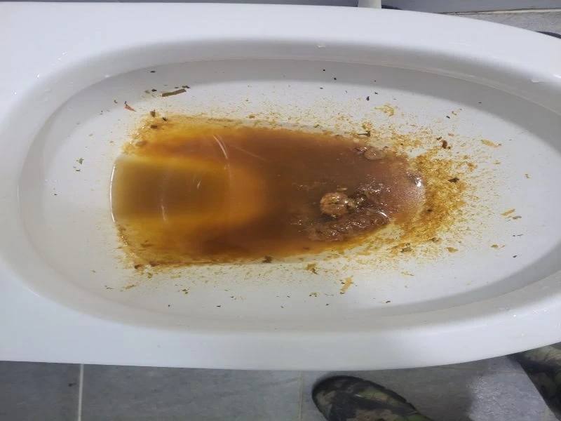 일산 변기막힘 작업사례 30