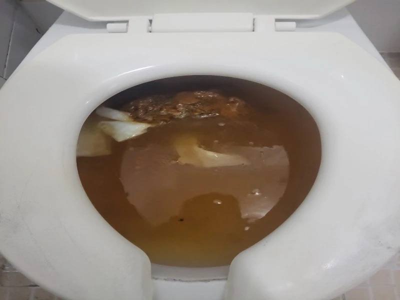 일산 변기 물이 넘치려 할 때 먼저 해야 할 일
