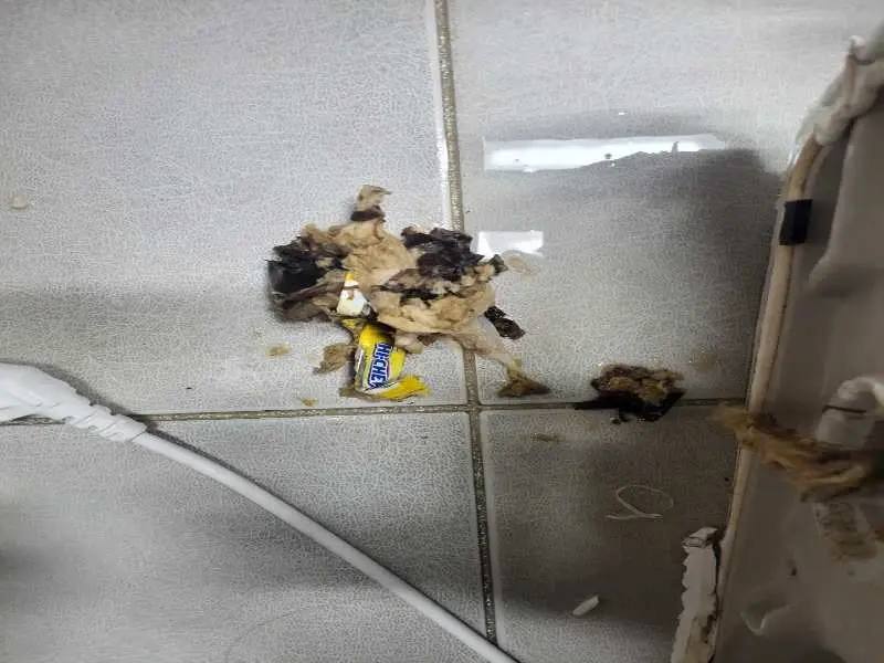 일산 변기 이물질 제거 사례 5